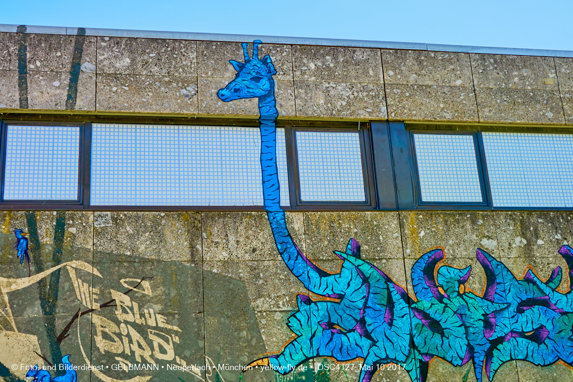 21.03.2017 - Abrissbaustelle Quiddezentrum in Neuperlach